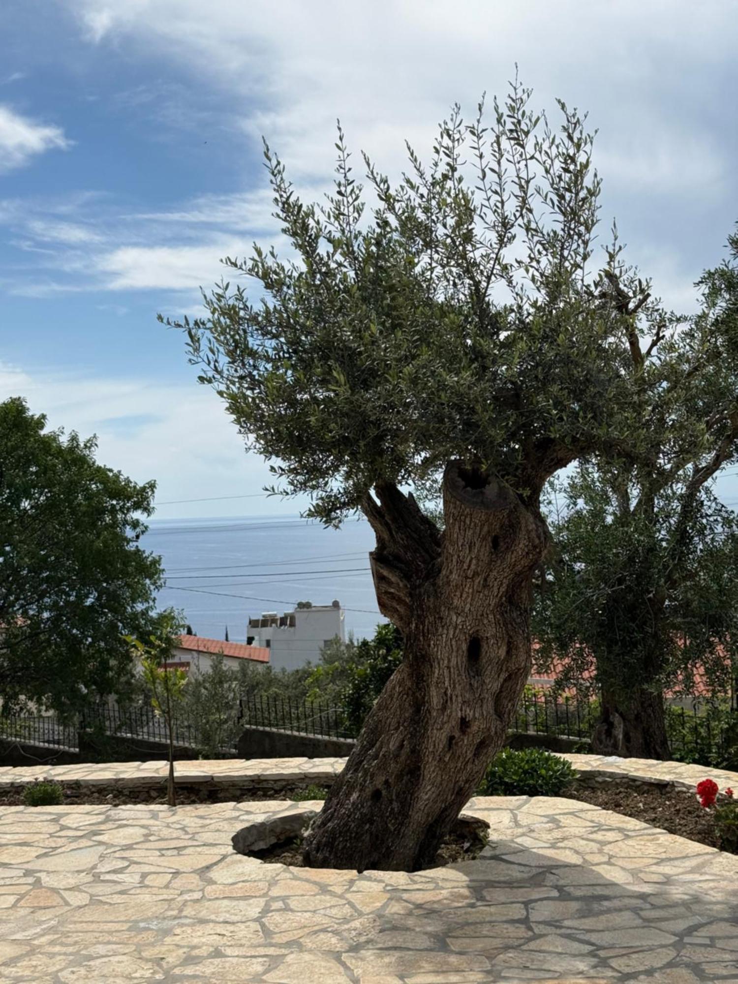 Villa Thomas Dhermi Bagian luar foto